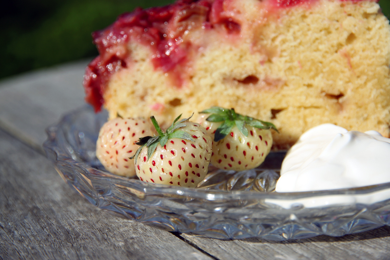 Gâteau renversé fraises-rhubarbe4