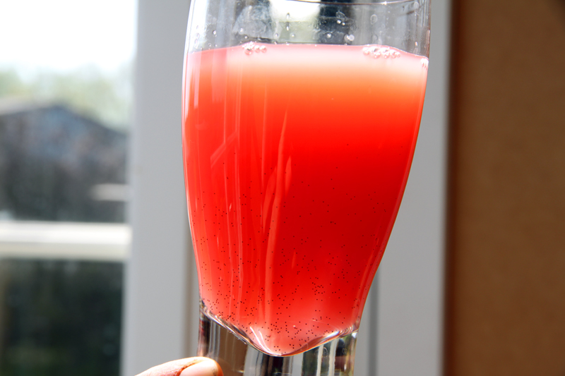 Limonade à la rhubarbe faite-maison6