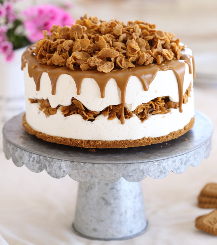 gateau-glace-au-mascarpone-et-speculos-1